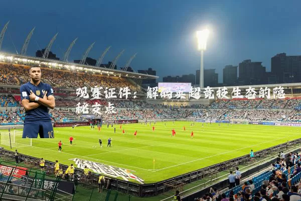 观赛证件：解码英超竞技生态的隐秘支点